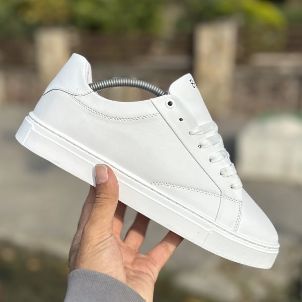 ونس برشکا آف تمام سفید