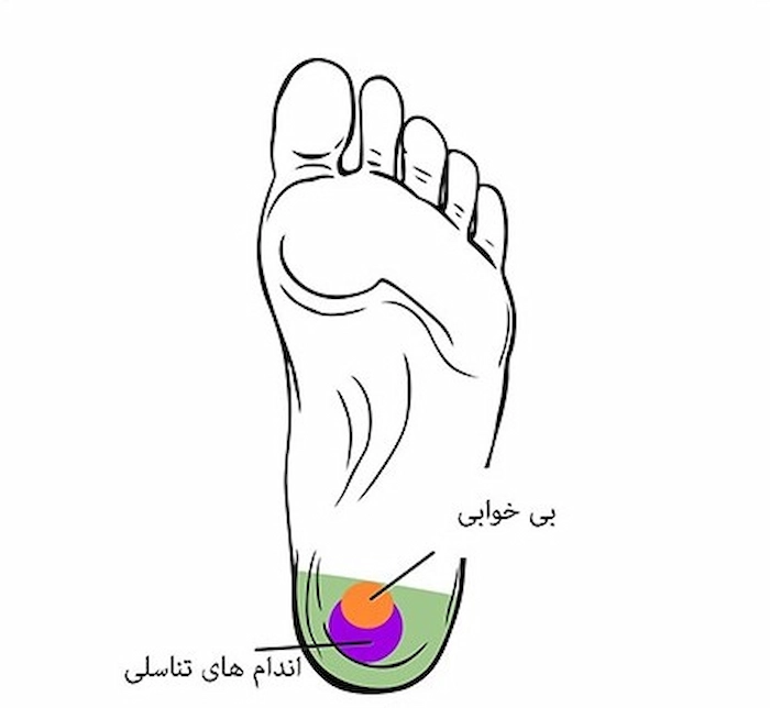 منطقه 5 324